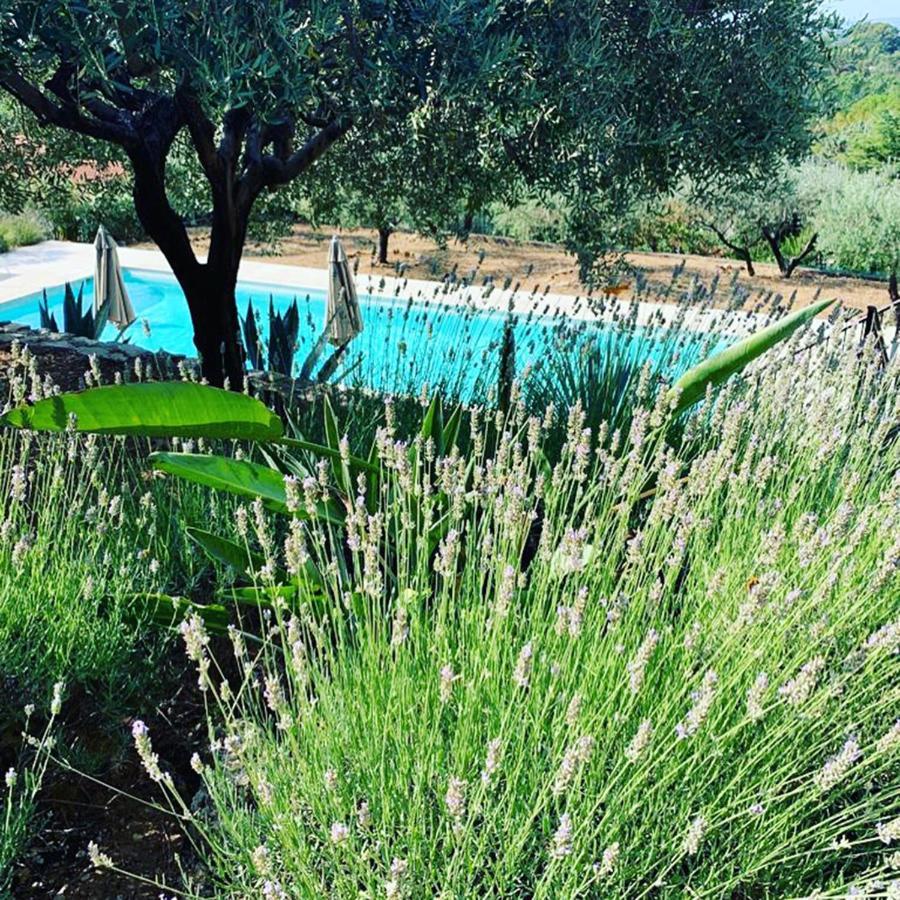 Le Clos En Provence Flayosc Esterno foto